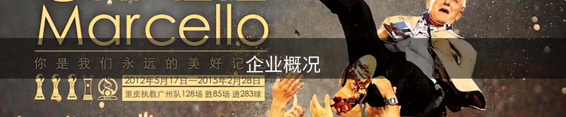 企业概况