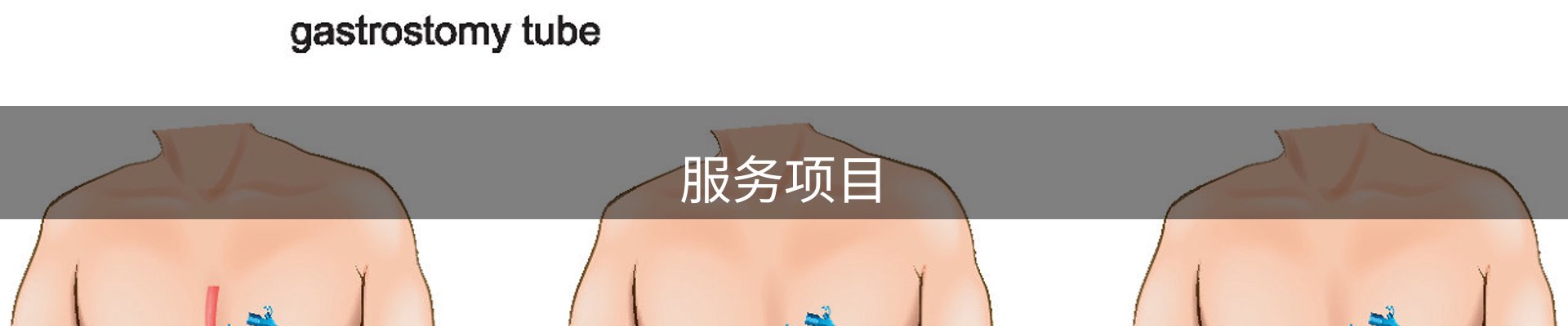 服务项目